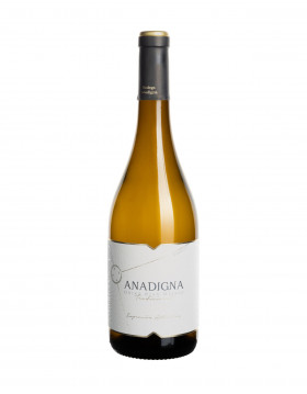 Anadigna Albariño Weißwein Rias Baixas Magnum