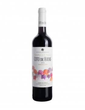 Coto de Hayas Rotwein Campo de Borja Tinto