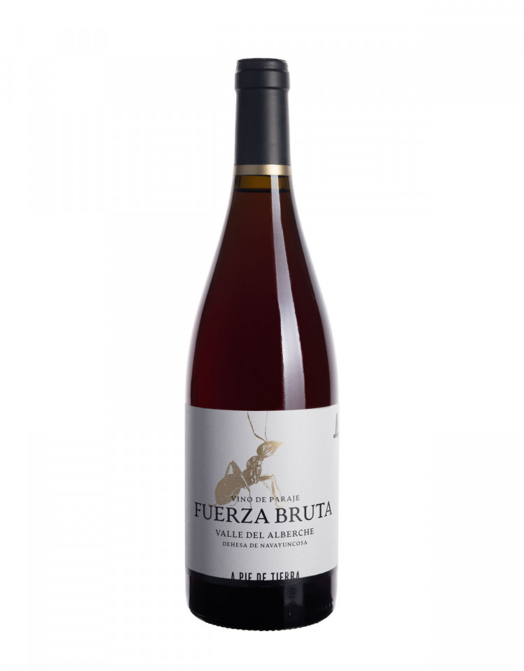 Rotwein Fuerza Bruta D.O. Vinos de Madrid Garnacha Negra Spanien