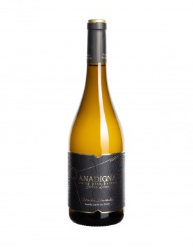 Anadigna Sobre Lias Weißwein Rias Baixas Albariño