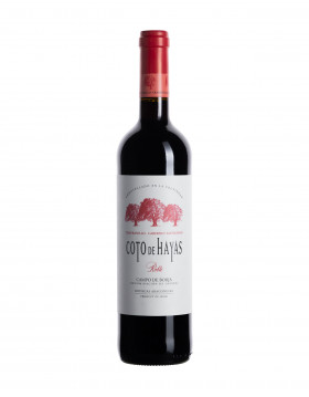 Coto de Hayas Roble Rotwein Campo de Borja