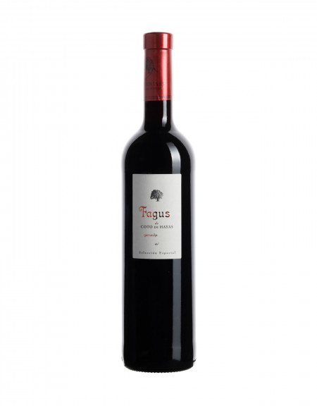 Fagus Rotwein Campo de Borja