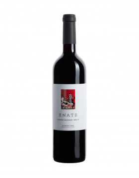 Enate Cabernet Sauvignon Merlot Rotwein Somontano