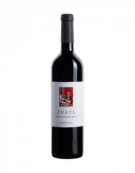 Enate Cabernet Sauvignon Merlot Rotwein Somontano