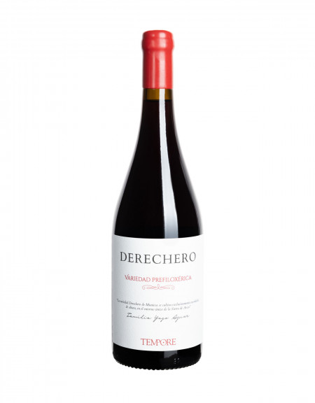 Bodegas Tempore Derechero Rotwein Aragon
