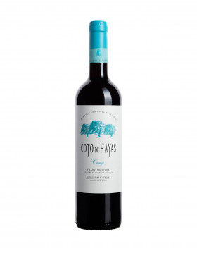 Coto de Hayas Crianza Rotwein Campo de Borja