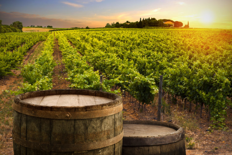 Biodynamischer Weinbau