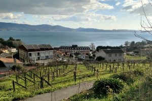 Weinlage Anadigna