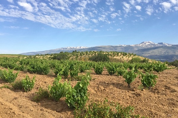 Hochlage in Granada