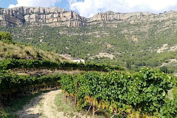 D.O. Priorat