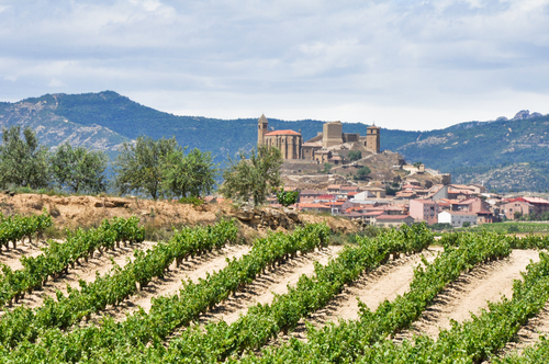 Wein Tourismus im Rioja