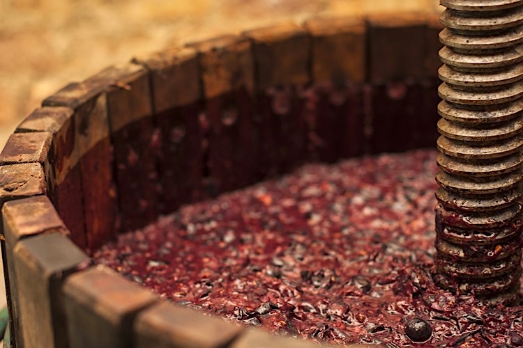 Weinbereitung mit Maischebottich