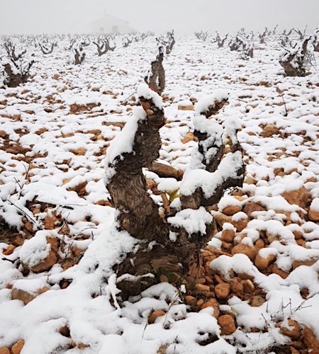 Schnee in Bajo Aragón