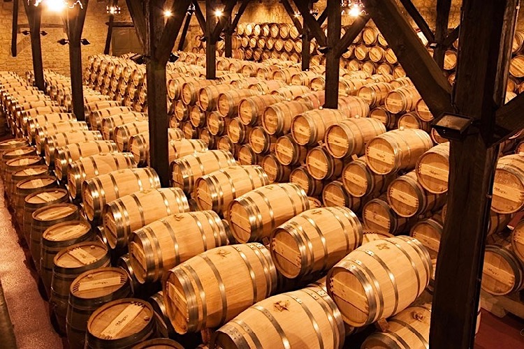 Bodegas Muga, Rioja Alta