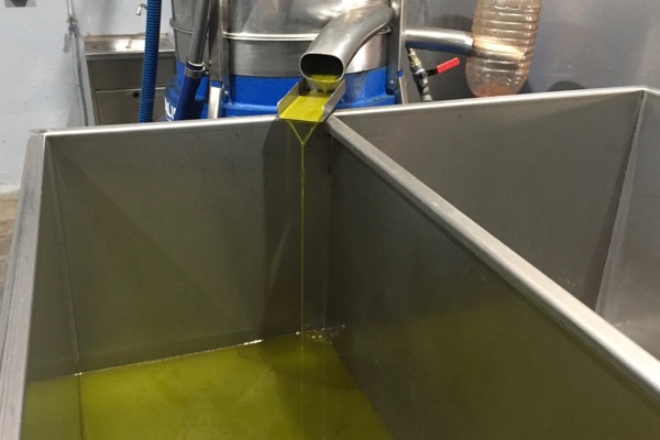 Olivenöl, frisch gepresst