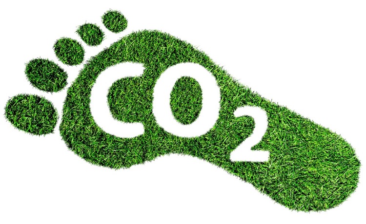 CO2-Fußabdruck Wein