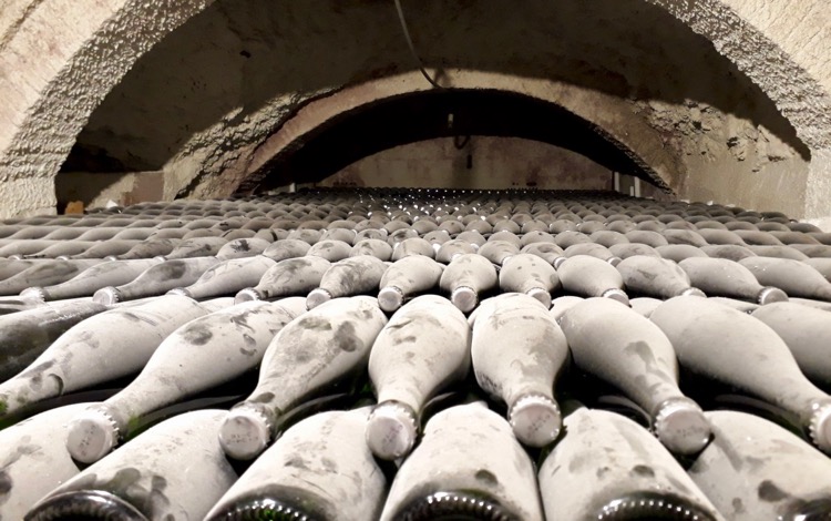 Cava in Aragon