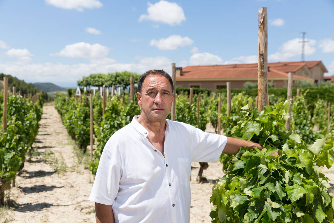 Bodegas Altún Weinberg