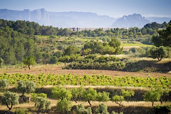 Blick auf das Weingut und Weinberge von Herencia Altés