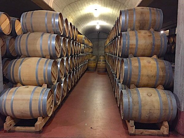 Barriques bei Muga
