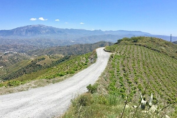Terroir in Málaga