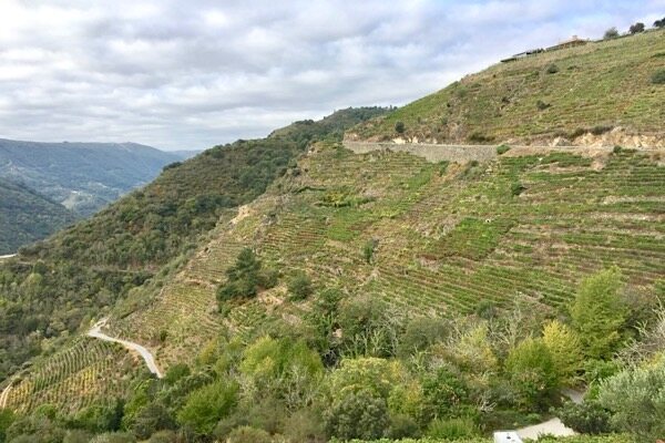 Spektakuläre Weinsteillagen in Ribeira Sacra