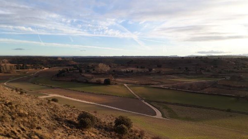 Dominio de Atauta - D.O. Ribera del Duero