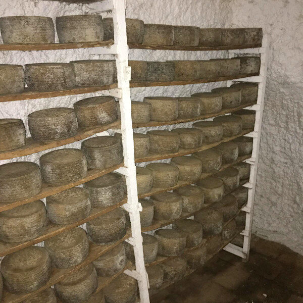 Foto zu Wein und Käse