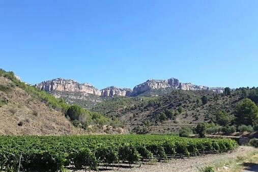 Scala Dei, Carinena, Priorat