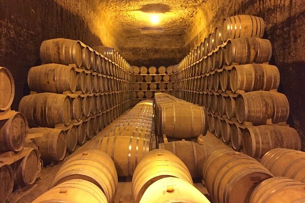 Tempranillo-Weinberg in Andalusien